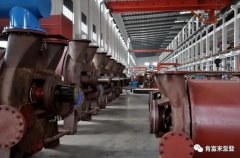 三亚俊泽自然资源开发有限公司被评为2019年度三水区骨干企业